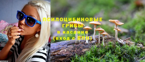 тгк Арсеньев