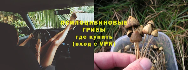 кокс Аркадак