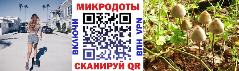 Купить  Чулым  Галлюциногенные грибы GOLDEN TEACHER 